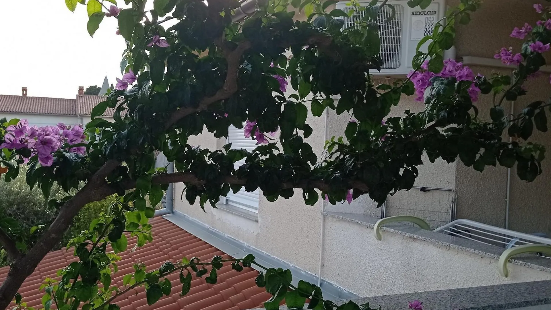 Apartments Anica Pula